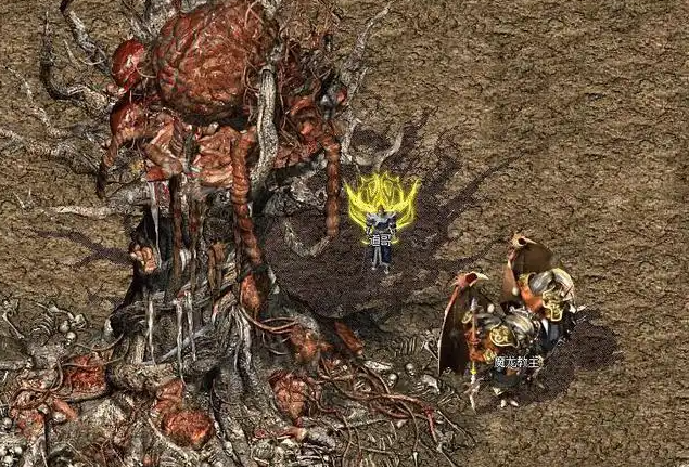 体系真的无限给力在散人天堂中打宝的中